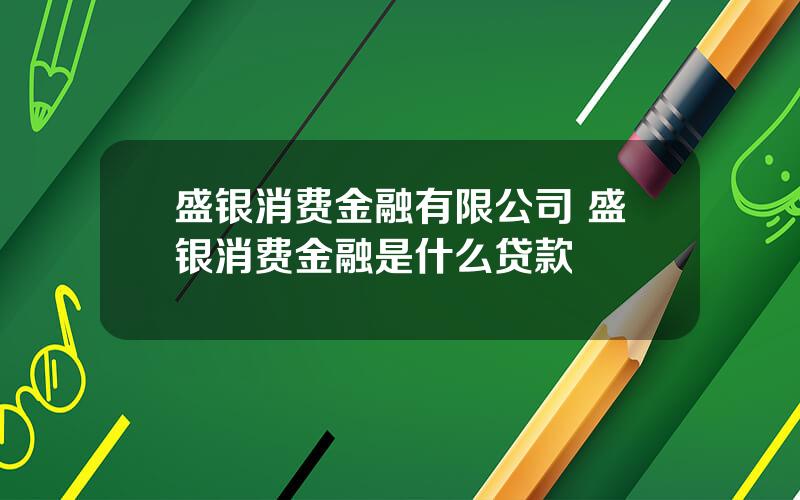 盛银消费金融有限公司 盛银消费金融是什么贷款